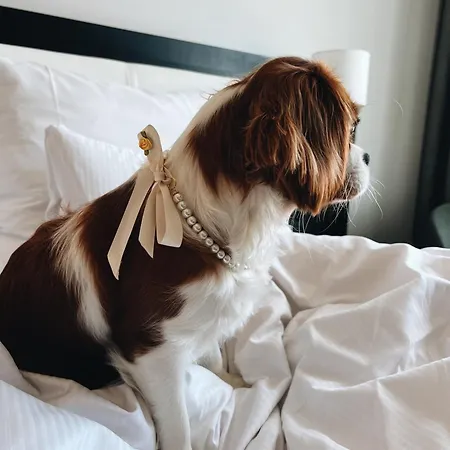 Clarion Stockholm