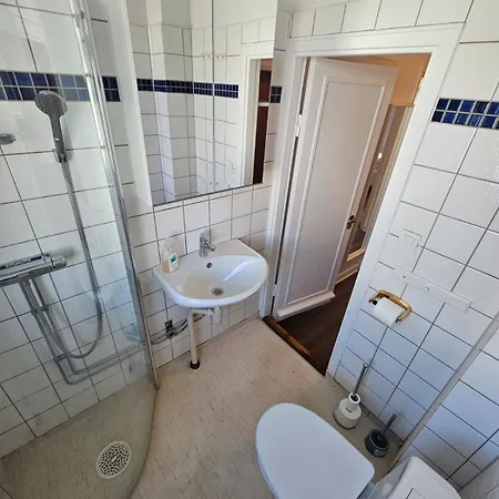 Lägenhet Flatin Erbjuder Laegenheter I Soedra