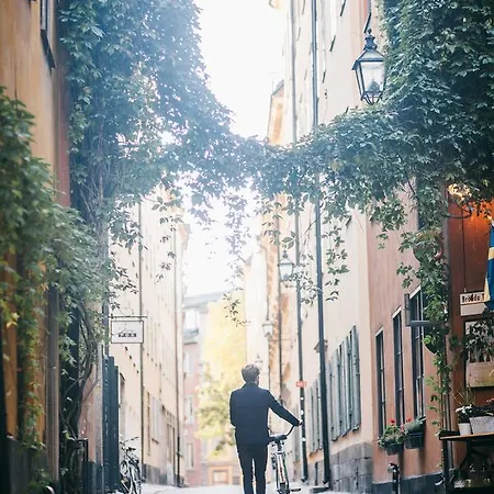 Lady Hamilton Stockholm