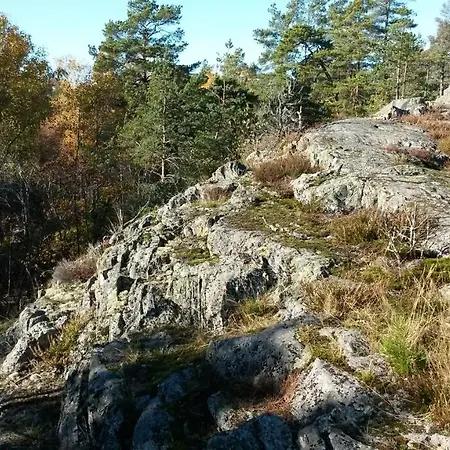 In Nature 12 Min From Free Bikes
