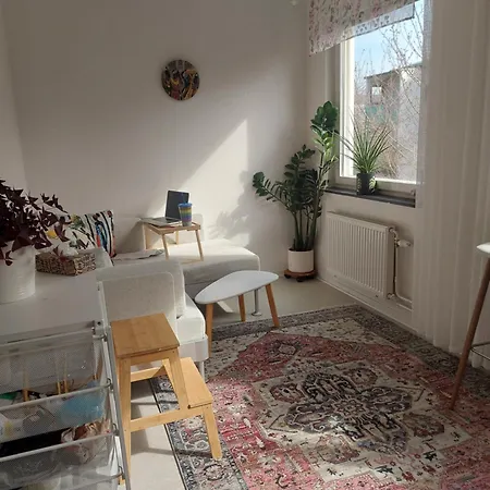Feel Like Your Own Homestay
