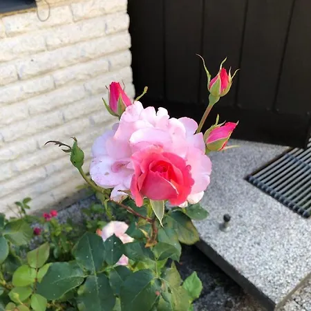 Homestay Anitas Stockholm/vaellingby Stockholm