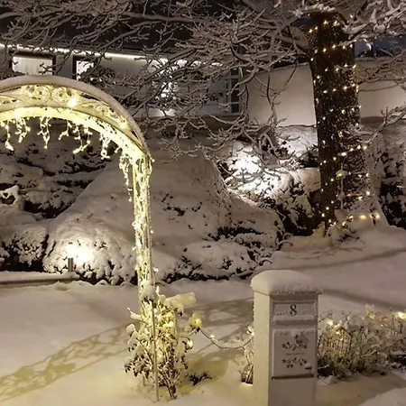 Cozy With Garden