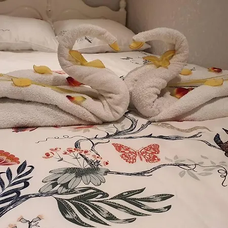 Cozy With Garden Apartment *