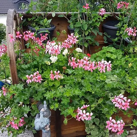 Cozy With Garden Apartment *
