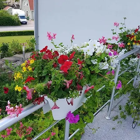 Cozy With Garden * Stockholm