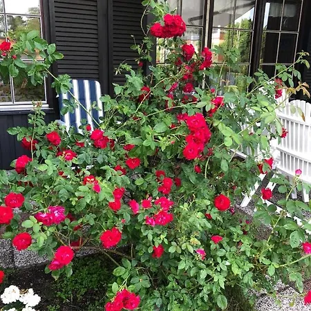 Homestay Anitas Stockholm/vaellingby *
