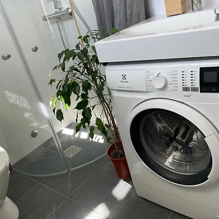 Mini Alvsjo S61 *