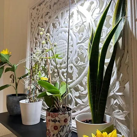 Travel Apartment