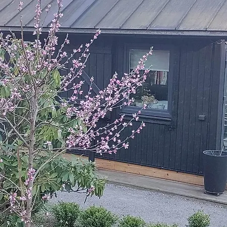 Apartament Pipsas *