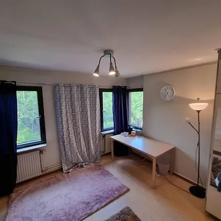 Apartment Budget Friendly Studio Close To The Center.