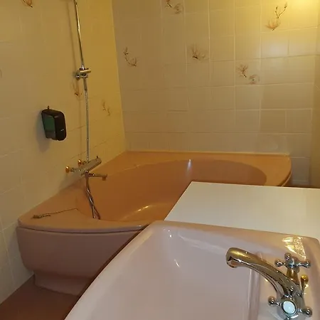 阿里斯顿酒店