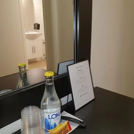 酒店 阿里斯顿酒店 利丁厄