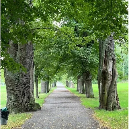 Apartment Close To The Metro And The Beach!!! With A View Of The Scandinavian Forest