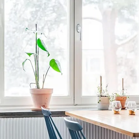Unique Cozy In Lägenhet Stockholm