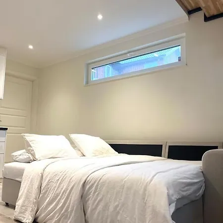 Elegant House Villa