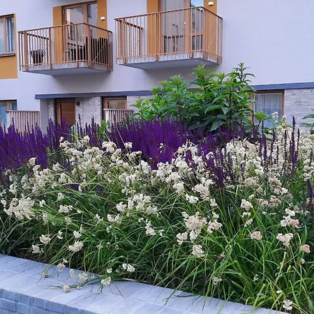 Private In Shared Lovely, Amazing, Modern +garden +bbq Homestay