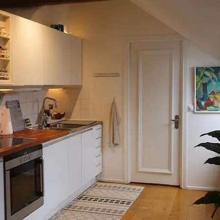 Spacious Penthouse Close To Center Stockholm