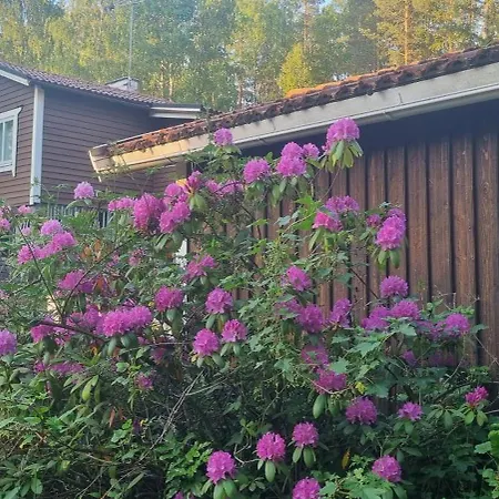 Private Lake Cabin Villa Stockholm