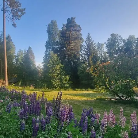 Private Lake Cabin Stockholm