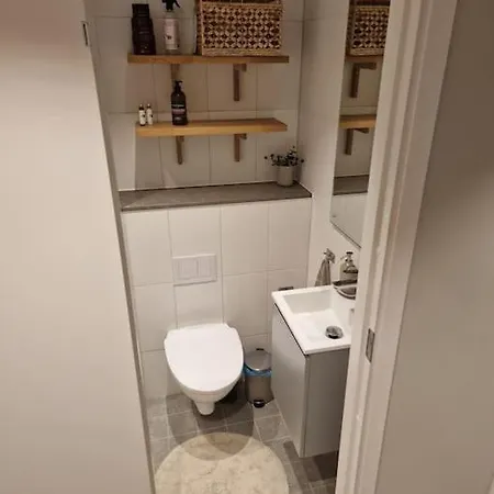 Modern With Bathroom, No Kitchen And Your Own Entrance Apartment *