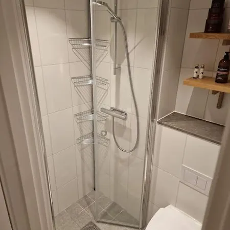 Modern With Bathroom, No Kitchen And Your Own Entrance Apartment