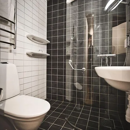 Hotel Birger Jarl 4*