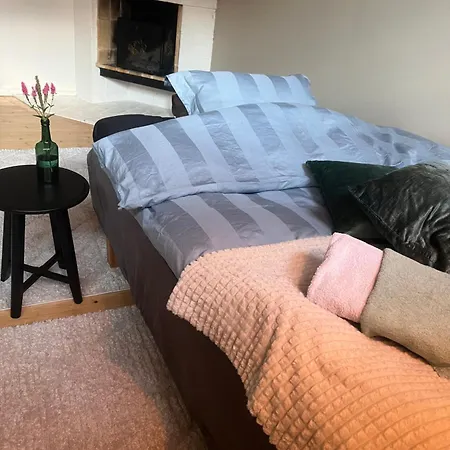 Apartment Coosy Authentic Swedish Wooden Apartment, 25 Min To City-own Entrance *