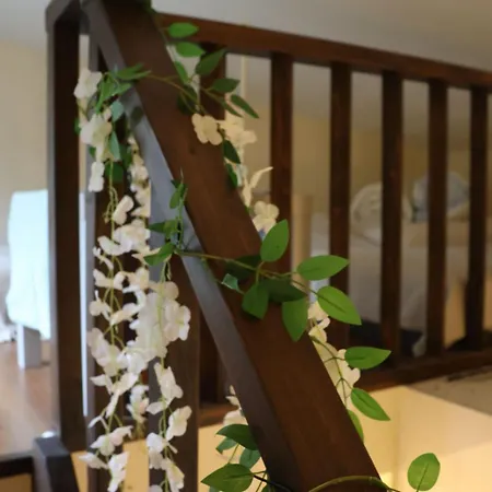 Guest Houes In Apartment