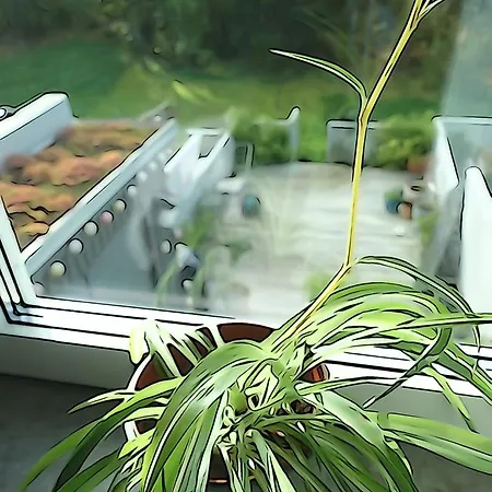 Garden House Close To *