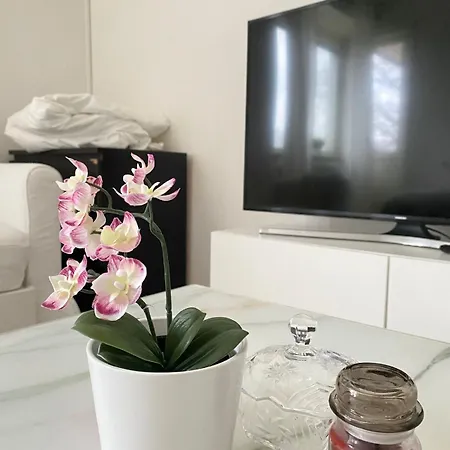 Chic In Apartment *