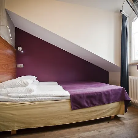 Hotel Rex 3*