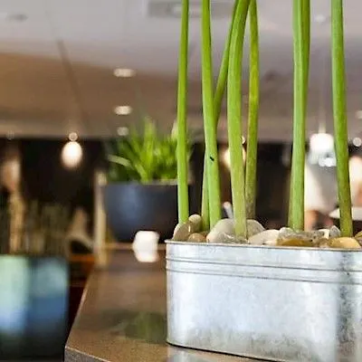 Hotel Quality 4*