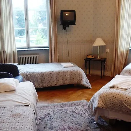 Wasa Park Hotel 2*