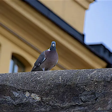 Langholmen Stockholm