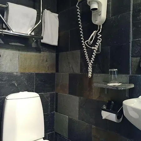 Hotel Rex 3*