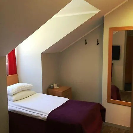 Hotel Rex 3*