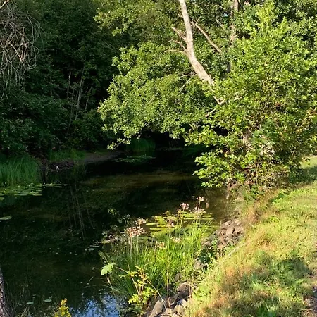 Maison d'hôtes New Mini-villa By The Creek Close To *