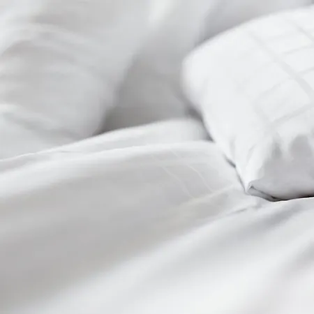 Scandic Park Hotel 4*