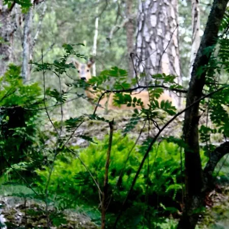 In Nature 12 Min From Free Bikes *