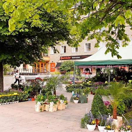 Fresh And Cosy In The Center Of The *