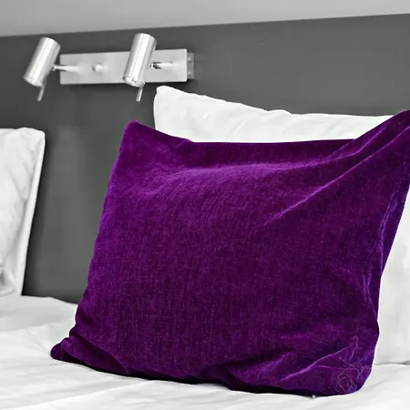 Hotel Aiden By Western 3*