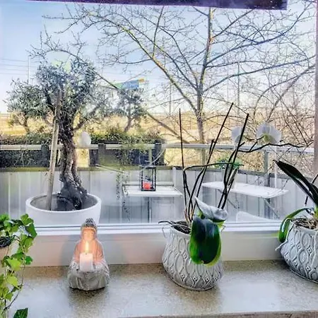 Spacious 5 Bedroom House In Villa