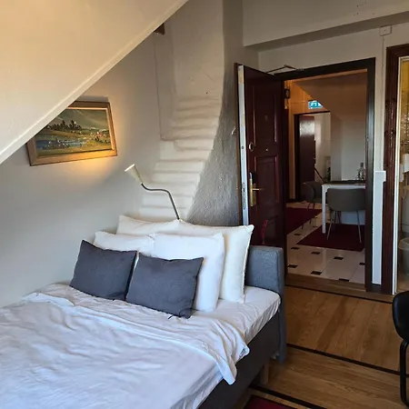 מלון דירות Penthouse Hotel-adults Only שטוקהולם