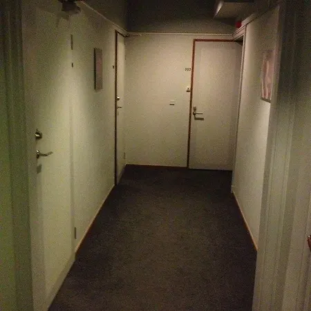 Hotel Aeppelviken 3*