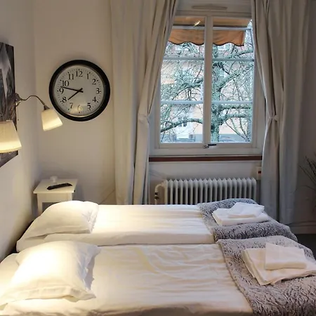 Hotel Aeppelviken 3*
