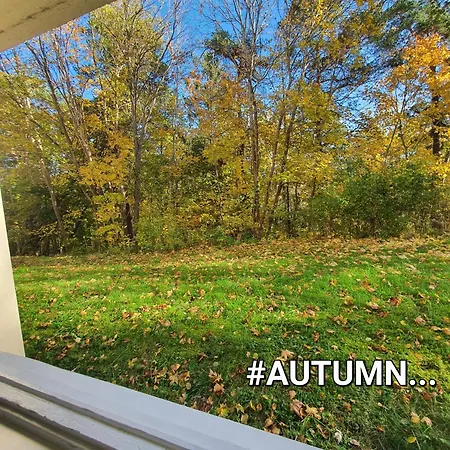 Appartamento Close To The Metro And The Beach!!! With A View Of The Scandinavian Forest Stoccolma