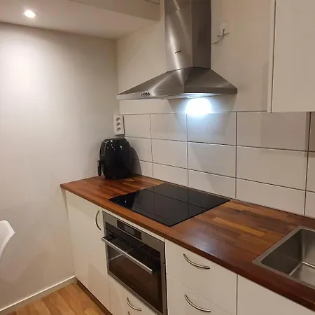 Smakfullt Attefallshus Med Stort Loft Naera Naturen * Stockholm