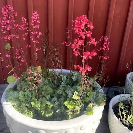 Mysig I Stavnaes By- Sommarhamn, Vaermdoe Villa *