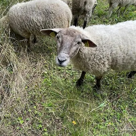 Mysig I Stavnaes By- Sommarhamn, Vaermdoe *